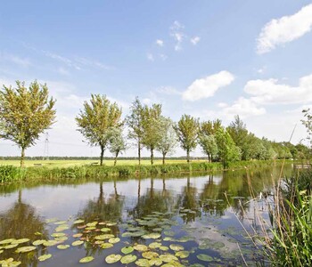 Efficiënter werken met het Microsoft Platform