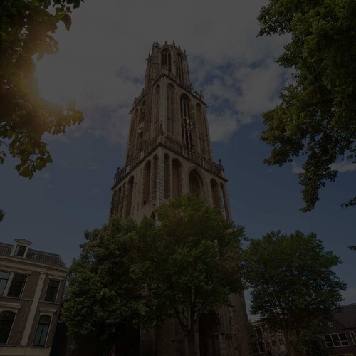 Inzicht in alle interacties